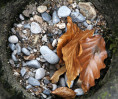© Mike Mellers  <em>still life</em>