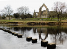 © Mike Mellers  <em>priory reflection</em>