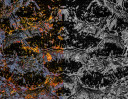 © Rodney Dinnen  <em>based on flow across cobbled ford</em>