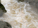 © Sue Best  <em>River Wharfe Abstract</em>
