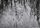 © Margaret Smith  <em>Sun and Rain</em>