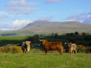 © Edwin Howson  <em>Where the Highlands Meet The Dales</em>