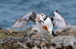© Graham Wood  <em>Clifftop Lunch</em>