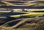 © John Bentley  <em>Ribblesdale * NFS</em>