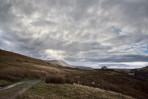 © Margaret Smith  <em>Winter Light Winterscales*</em>