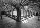 © Paul Higgins  <em>Cloisters *</em>