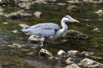 © Sue Haddrill  <em>Gone Fishing! NFS</em>