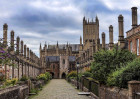© Sue Haddrill  <em>Vicars' Close, Wells NFS</em>