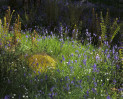 © Yvonne Fairclough  <em></em>