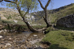 © Andy Best  <em>Malham Cove</em>