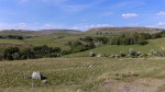 © Sue Haddrill  <em>Delightful Dales</em>