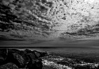 © Paul Higgins  <em>Summer Sea</em>
