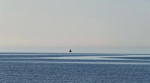 © Paul Underhill  <em>Doing by Being</em>