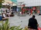 © Janine Fearon  <em>By the station</em>