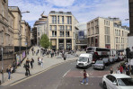 © Sue Haddrill  <em>A Hive of Activity</em>