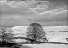 © Chris Yates  <em></em>