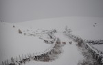 © Jeanette Davidson  <em>winter</em>