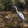 © Andy Best  <em>Fishing</em>