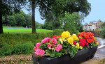 © Elaine Newington Ward  <em>Riverside, Barrowford</em>