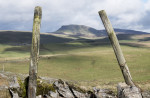 &copy; Margaret Smith&nbsp;&nbsp;<em>Pen-y-ghent from Cowside</em>