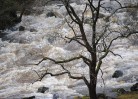 © Jeanette Davidson  <em>flood</em>