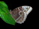 © Malcolm Walker  <em></em>