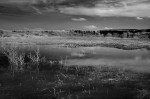 &copy; Rod Smith&nbsp;&nbsp;<em>Ribblehead Quarry</em>