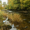 © Yvonne Fairclough  <em>Stainforth 1</em>