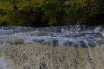 © Rodney Dinnen  <em>Leaves over water Stainforth</em>