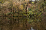&copy; Andy Best&nbsp;&nbsp;<em>Skipton Wood Pond</em>