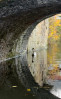 &copy; Rodney Dinnen&nbsp;&nbsp;<em>Swan below Mill Bridge and Stanforths</em>