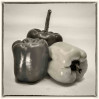 &copy; Sue Haddrill&nbsp;&nbsp;<em>Peppers</em>