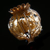 &copy; Tim Fearon&nbsp;&nbsp;<em>Poppy Pod Skeleton</em>