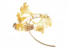 &copy; Sue Best&nbsp;&nbsp;<em>Freesia</em>