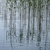 &copy; Gill Pinkerton&nbsp;&nbsp;<em>Ripples and Reflections</em>