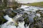 &copy; Graham Wood&nbsp;&nbsp;<em>River Warfe</em>