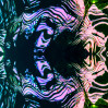 &copy; Rodney Dinnen&nbsp;&nbsp;<em>from palm leaf shadows #</em>