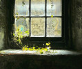 &copy; Yvonne Fairclough&nbsp;&nbsp;<em>Nature Holds The Key *</em>
