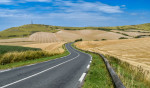 &copy; Angus King&nbsp;&nbsp;<em>Lines in the Landscape</em>