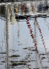 &copy; Chris Chandler&nbsp;&nbsp;<em>Reflections</em>