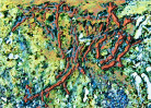 &copy; Elaine Newington Ward&nbsp;&nbsp;<em>Copper</em>