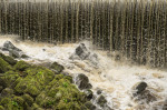 &copy; Graham Wood&nbsp;&nbsp;<em>Weir at Skipton Woods *</em>