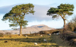 &copy; Graham Wood&nbsp;&nbsp;<em>Winter's Morning Sun *</em>