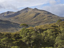 &copy; Harry Pinkerton&nbsp;&nbsp;<em>Sgurr na Lapaich *</em>