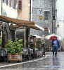 &copy; Janine Fearon&nbsp;&nbsp;<em>Brolly day #</em>