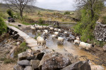 &copy; John Bentley&nbsp;&nbsp;<em>Wharfe Clapper Bridge*NFS</em>