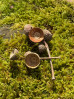 &copy; Sharon Floyd&nbsp;&nbsp;<em>Lunchtime over</em>