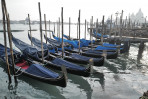 &copy; Tony Durcan&nbsp;&nbsp;<em>Blue on the Lagoon</em>