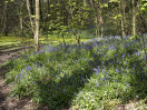 &copy; Gill Pinkerton&nbsp;&nbsp;<em>Swedish Colours</em>