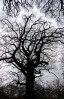 &copy; Tim Fearon&nbsp;&nbsp;<em>Light and Dark</em>